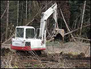 Land Clearing Site Prep